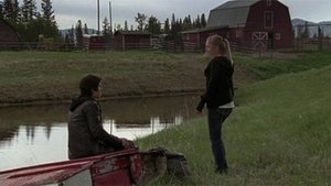 Heartland 3. évad Ep.4 4. epizód