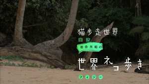 岩合光昭の世界ネコ歩き 1. évad Ep.61 61. epizód