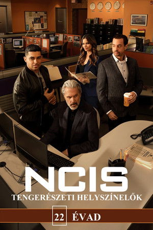 NCIS: Tengerészeti helyszínelők 22. évad (2024-10-14) poszter