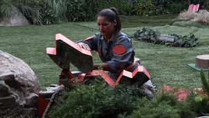 Big Brother 15. évad Ep.15 15. epizód