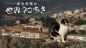 岩合光昭の世界ネコ歩き 1. évad Ep.146 146. epizód