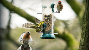 Springwatch 17. évad Ep.1 1. epizód