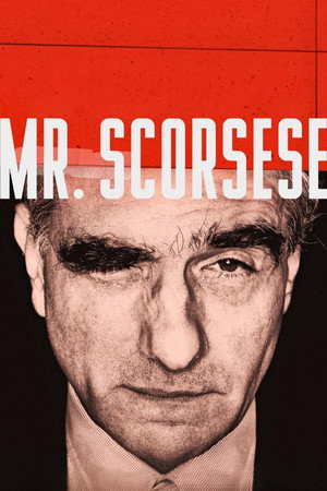 Mr. Scorsese poszter