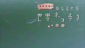 岩合光昭の世界ネコ歩き 1. évad Ep.20 20. epizód
