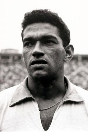 Garrincha profil kép