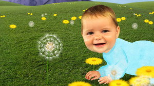 Baby Jake kép