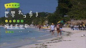 岩合光昭の世界ネコ歩き 1. évad Ep.70 70. epizód