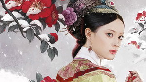 甄嬛传 kép