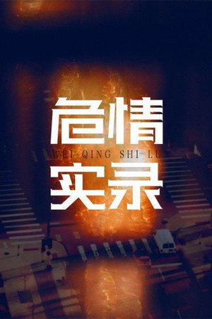 危情实录 1. évad (2003-01-01) poszter