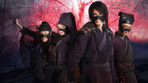 怪侠一枝梅 kép
