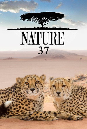 Nature 37. évad (2018-10-24) poszter