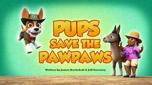 PAW Patrol 5. évad Ep.10 10. epizód