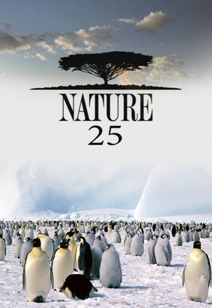 Nature 25. évad (2006-10-24) poszter