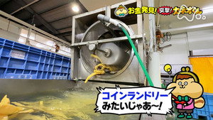 有吉のお金発見　突撃！カネオくん 2. évad Ep.229 229. epizód