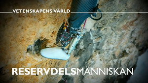 Vetenskapens värld 49. évad Ep.2 2. epizód