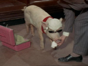 Green Acres 4. évad Ep.19 19. epizód