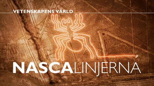 Vetenskapens värld 49. évad Ep.15 15. epizód