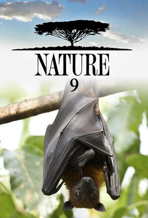 Nature 9. évad (1990-09-30) poszter