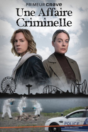 Une affaire criminelle poszter