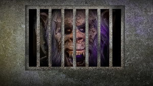 Tales from the Darkside kép
