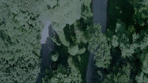 疯人院 1. évad Ep.6 6. epizód