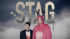 Stag kép