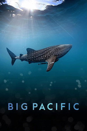 Big Pacific poszter