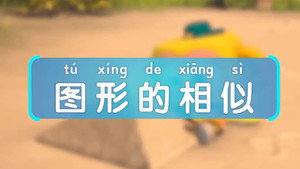 斑马百科 30. évad Ep.8 8. epizód
