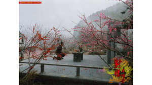 射雕英雄传 kép