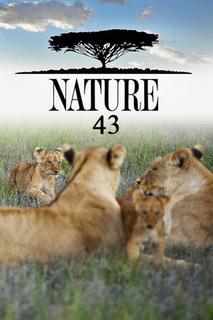 Nature 43. évad (2024-10-23) poszter
