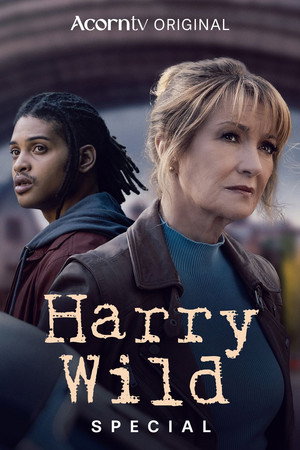 Harry Wild Speciális epizódok (2025-11-24) poszter