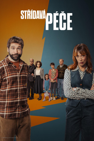 Közös felügyelet poszter