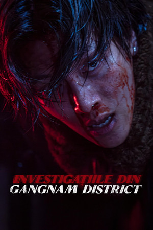 Gangnam sötét oldala poszter