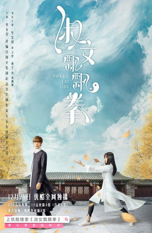 淑女飘飘拳 poszter