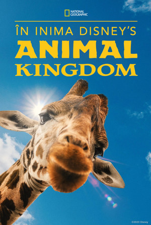 Magic of Disney's Animal Kingdom poszter