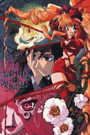 シャーマニックプリンセス poszter