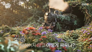 취미는 과학 1. évad Ep.71 71. epizód