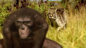 Walking with Beasts kép
