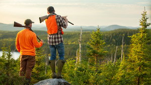 Hooké à la chasse kép