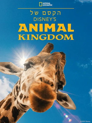 Magic of Disney's Animal Kingdom poszter
