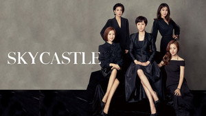 SKY Castle kép