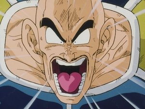 Dragon Ball Z 1. évad Ep.26 Fegyverszünet