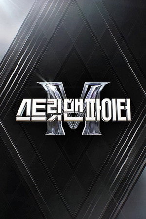 스트릿 맨 파이터 poszter