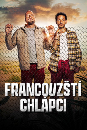 Francia kalamajka poszter