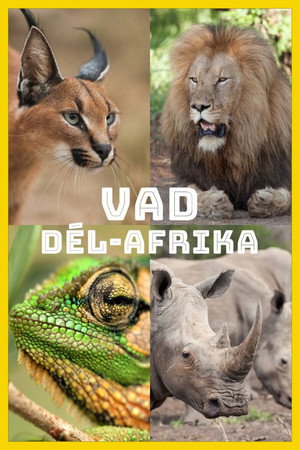 Vad Dél-Afrika