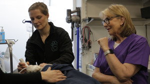 Fern Britton: Inside The Vet's kép
