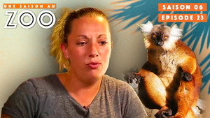 Une saison au zoo 6. évad Ep.23 23. epizód