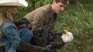 Heartland 9. évad Ep.6 6. epizód