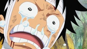 One Piece 13. évad Ep.505 505. epizód