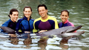 Flipper kép